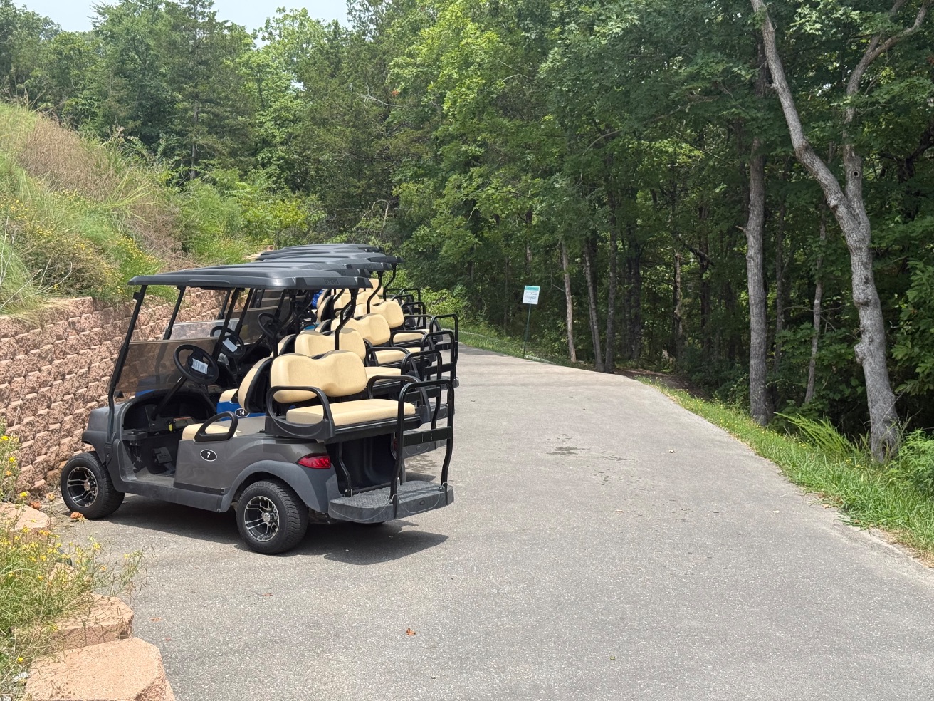 Dock Golf Cart Parking